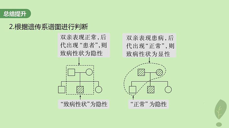 2024届高考生物一轮复习第五单元基因的传递规律第2课时分离定律重点题型突破课件（苏教版）第5页