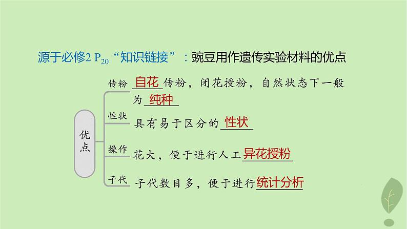 2024届高考生物一轮复习第五单元基因的传递规律第1课时分离定律课件（苏教版）04