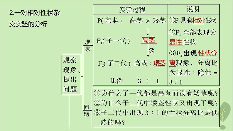 2024届高考生物一轮复习第五单元基因的传递规律第1课时分离定律课件（苏教版）05