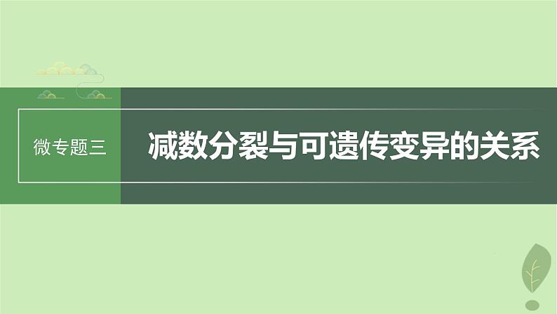 2024届高考生物一轮复习第四单元细胞的生命历程微专题三减数分裂与可遗传变异的关系课件（苏教版）第1页