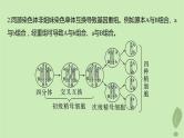 2024届高考生物一轮复习第四单元细胞的生命历程微专题三减数分裂与可遗传变异的关系课件（苏教版）