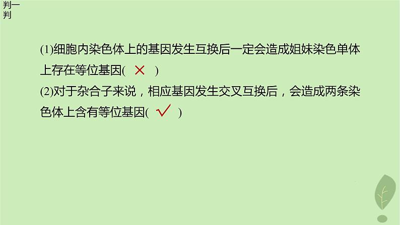 2024届高考生物一轮复习第四单元细胞的生命历程微专题三减数分裂与可遗传变异的关系课件（苏教版）第5页