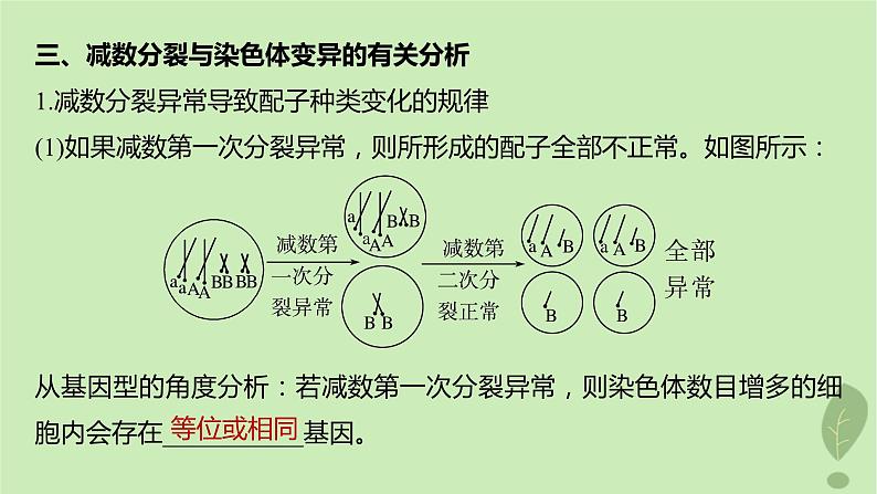 2024届高考生物一轮复习第四单元细胞的生命历程微专题三减数分裂与可遗传变异的关系课件（苏教版）第6页