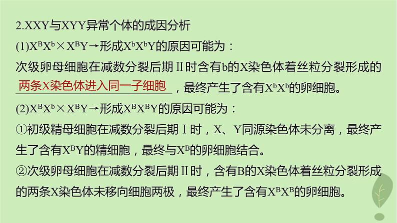 2024届高考生物一轮复习第四单元细胞的生命历程微专题三减数分裂与可遗传变异的关系课件（苏教版）第8页