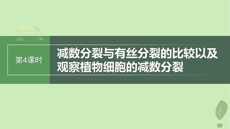 2024届高考生物一轮复习第四单元细胞的生命历程第4课时减数分裂有丝分裂植物细胞的减数分裂课件（苏教版）01