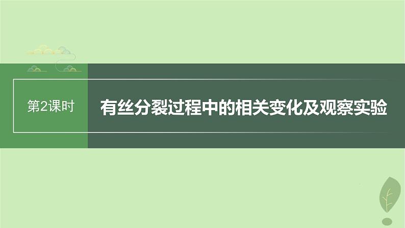 2024届高考生物一轮复习第四单元细胞的生命历程第2课时有丝分裂过程中的相关变化及观察实验课件（苏教版）01