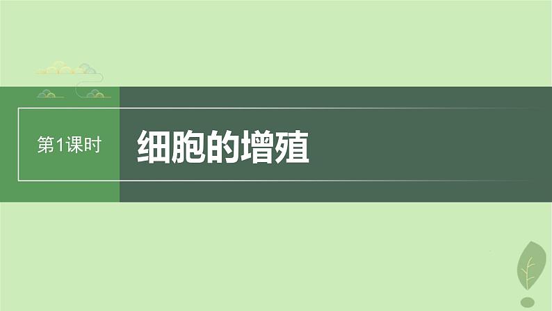 2024届高考生物一轮复习第四单元细胞的生命历程第1课时细胞的增殖课件（苏教版）01