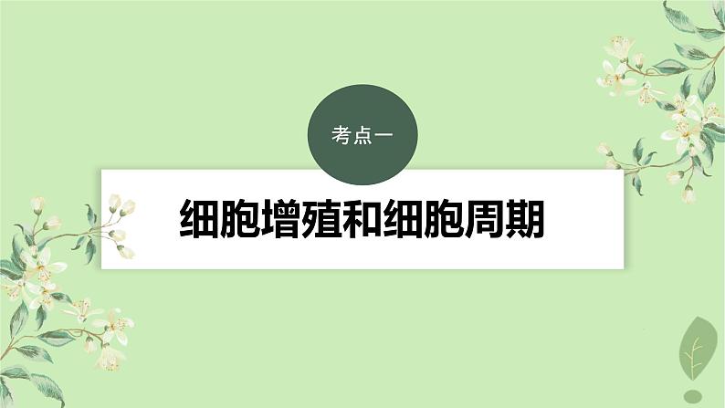 2024届高考生物一轮复习第四单元细胞的生命历程第1课时细胞的增殖课件（苏教版）03