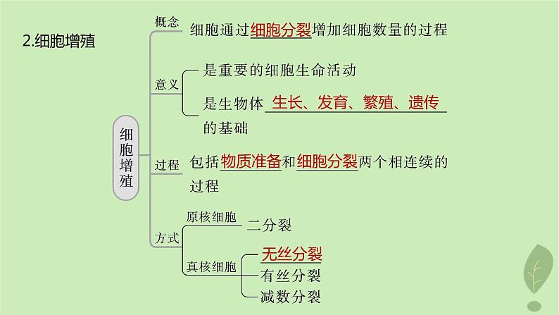 2024届高考生物一轮复习第四单元细胞的生命历程第1课时细胞的增殖课件（苏教版）06