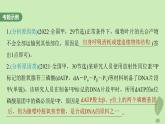 2024届高考生物一轮复习第三单元细胞的能量供应和利用长句表达二细胞代谢中的原因分析课件（苏教版）