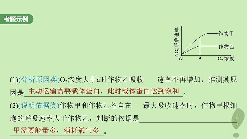 2024届高考生物一轮复习第三单元细胞的能量供应和利用长句表达二细胞代谢中的原因分析课件（苏教版）03