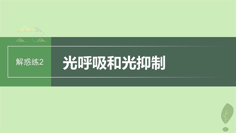 2024届高考生物一轮复习第三单元细胞的能量供应和利用解惑练2光呼吸和光抑制课件（苏教版）第1页