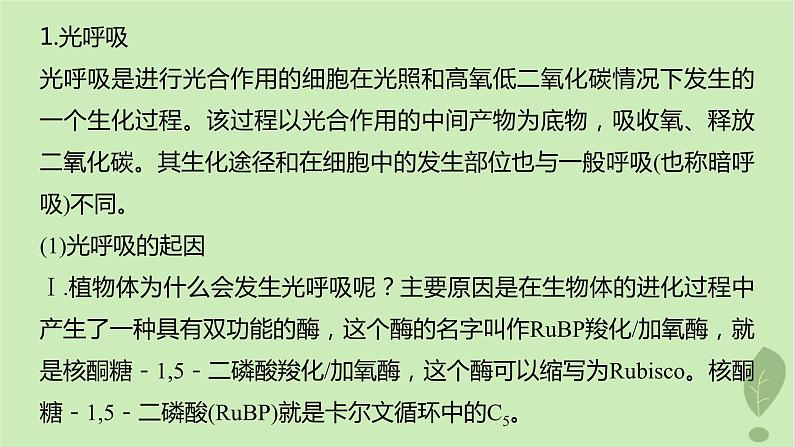 2024届高考生物一轮复习第三单元细胞的能量供应和利用解惑练2光呼吸和光抑制课件（苏教版）第2页