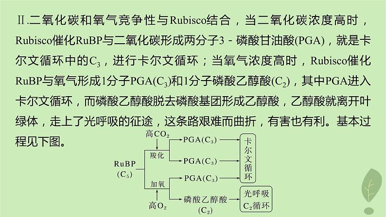 2024届高考生物一轮复习第三单元细胞的能量供应和利用解惑练2光呼吸和光抑制课件（苏教版）第3页