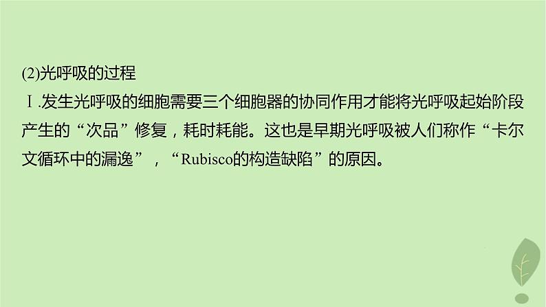 2024届高考生物一轮复习第三单元细胞的能量供应和利用解惑练2光呼吸和光抑制课件（苏教版）第4页