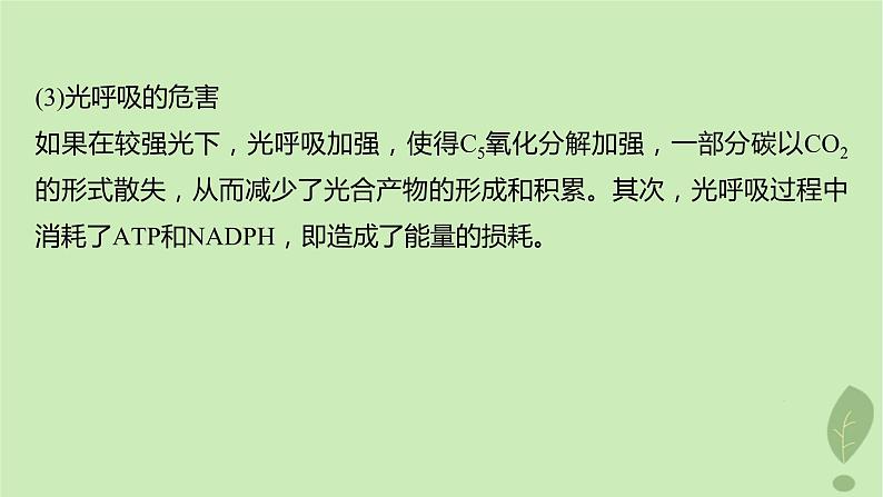 2024届高考生物一轮复习第三单元细胞的能量供应和利用解惑练2光呼吸和光抑制课件（苏教版）第6页