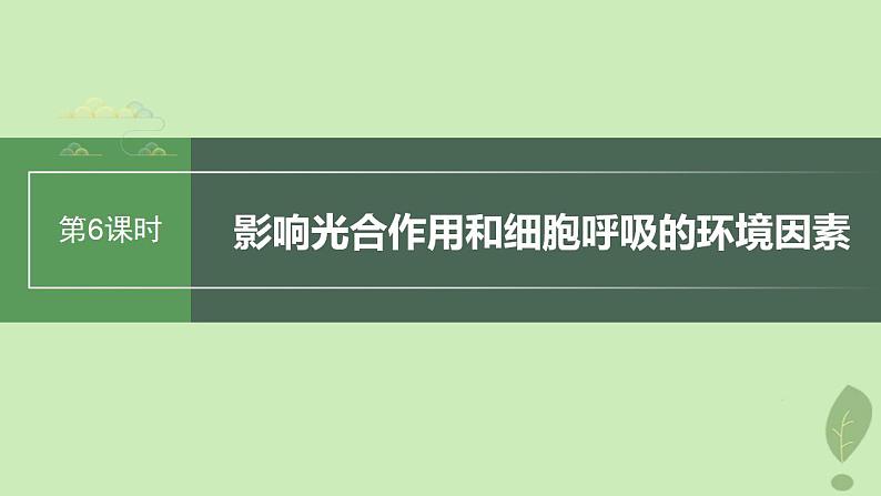 2024届高考生物一轮复习第三单元细胞的能量供应和利用第6课时影响光合作用和细胞呼吸的环境因素课件（苏教版）第1页