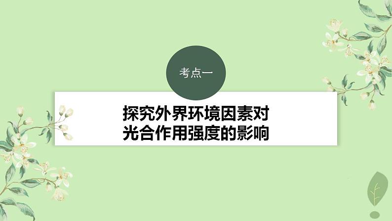 2024届高考生物一轮复习第三单元细胞的能量供应和利用第6课时影响光合作用和细胞呼吸的环境因素课件（苏教版）第3页