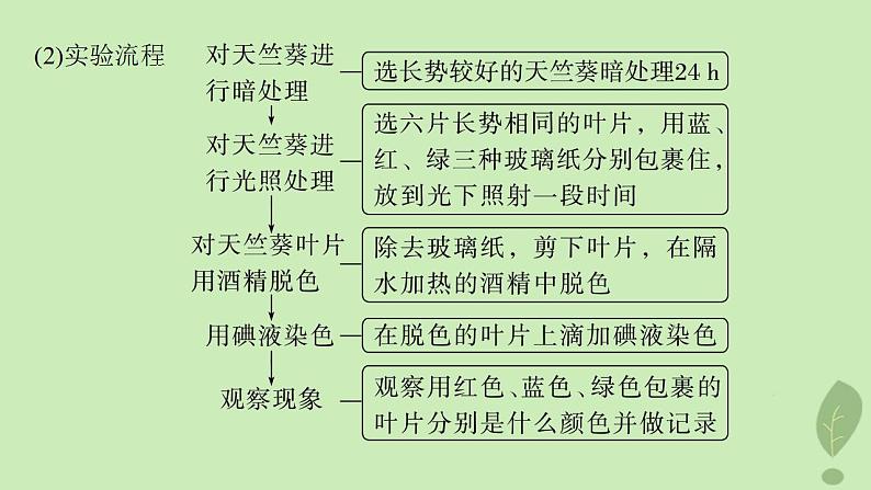 2024届高考生物一轮复习第三单元细胞的能量供应和利用第6课时影响光合作用和细胞呼吸的环境因素课件（苏教版）第5页