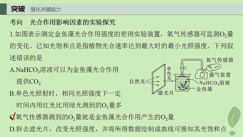 2024届高考生物一轮复习第三单元细胞的能量供应和利用第6课时影响光合作用和细胞呼吸的环境因素课件（苏教版）第7页