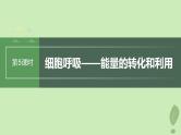 2024届高考生物一轮复习第三单元细胞的能量供应和利用第5课时细胞呼吸__能量的转化和利用课件（苏教版）