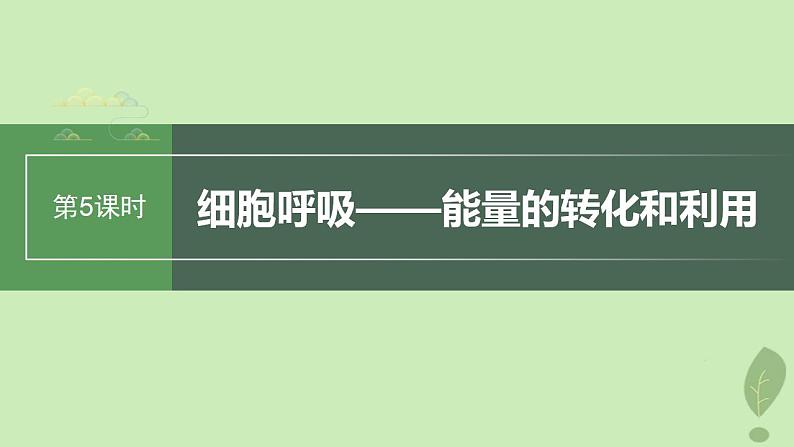 2024届高考生物一轮复习第三单元细胞的能量供应和利用第5课时细胞呼吸__能量的转化和利用课件（苏教版）01