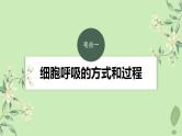 2024届高考生物一轮复习第三单元细胞的能量供应和利用第5课时细胞呼吸__能量的转化和利用课件（苏教版）