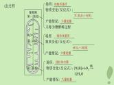 2024届高考生物一轮复习第三单元细胞的能量供应和利用第5课时细胞呼吸__能量的转化和利用课件（苏教版）