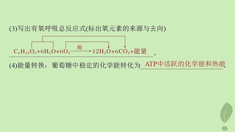 2024届高考生物一轮复习第三单元细胞的能量供应和利用第5课时细胞呼吸__能量的转化和利用课件（苏教版）06