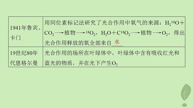 2024届高考生物一轮复习第三单元细胞的能量供应和利用第4课时探索光合作用及其过程课件（苏教版）04