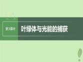 2024届高考生物一轮复习第三单元细胞的能量供应和利用第3课时叶绿体与光能的捕获课件（苏教版）