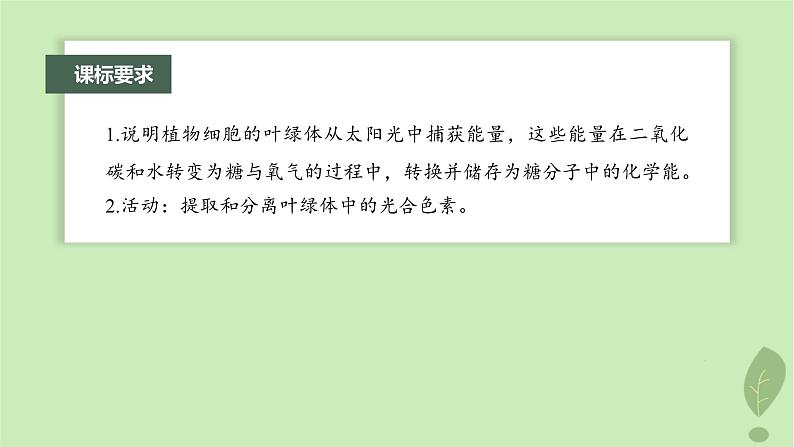 2024届高考生物一轮复习第三单元细胞的能量供应和利用第3课时叶绿体与光能的捕获课件（苏教版）第2页