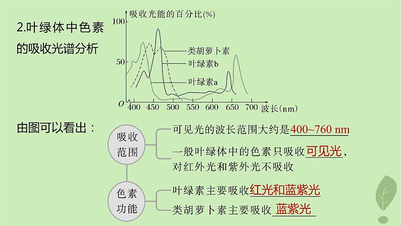 2024届高考生物一轮复习第三单元细胞的能量供应和利用第3课时叶绿体与光能的捕获课件（苏教版）第7页