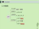 2024届高考生物一轮复习第三单元细胞的能量供应和利用第2课时ATP是驱动细胞生命活动的直接能源物质课件（苏教版）