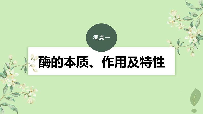 2024届高考生物一轮复习第三单元细胞的能量供应和利用第1课时生物催化剂__酶课件（苏教版）第3页