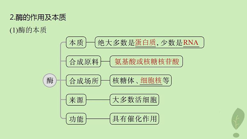 2024届高考生物一轮复习第三单元细胞的能量供应和利用第1课时生物催化剂__酶课件（苏教版）第5页