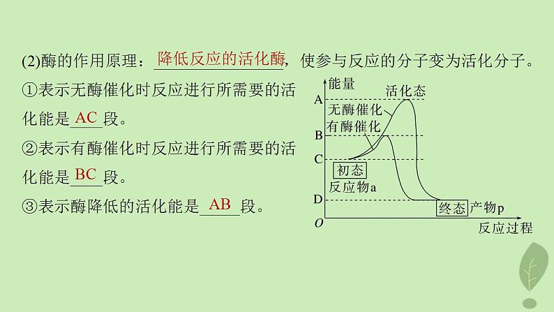 2024届高考生物一轮复习第三单元细胞的能量供应和利用第1课时生物催化剂__酶课件（苏教版）第6页