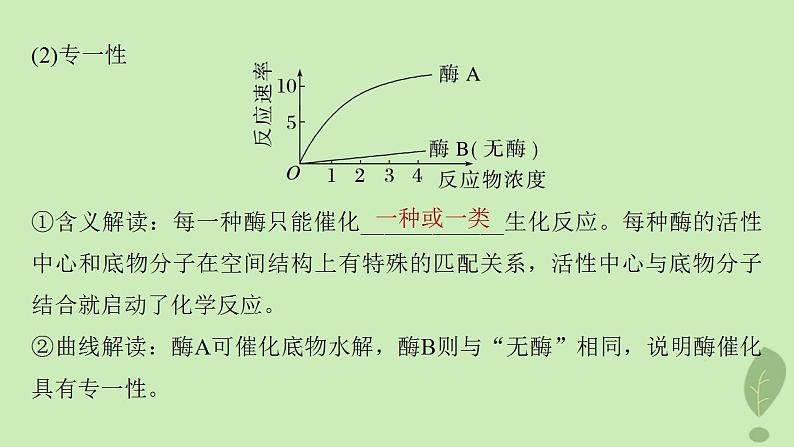 2024届高考生物一轮复习第三单元细胞的能量供应和利用第1课时生物催化剂__酶课件（苏教版）第8页