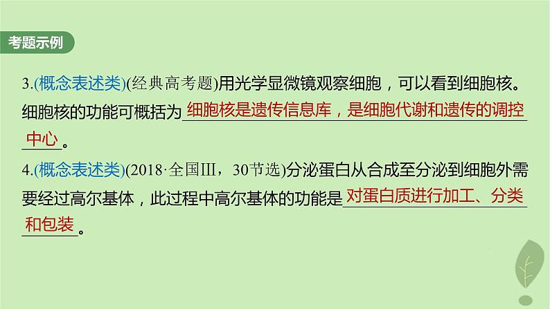 2024届高考生物一轮复习第二单元细胞的结构和生命活动长句表达一与细胞有关的概念特点和作用的描述课件（苏教版）第3页