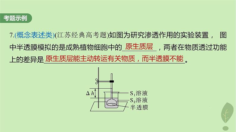 2024届高考生物一轮复习第二单元细胞的结构和生命活动长句表达一与细胞有关的概念特点和作用的描述课件（苏教版）第6页