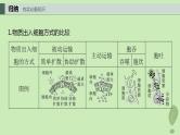 2024届高考生物一轮复习第二单元细胞的结构和生命活动第7课时物质出入细胞的方式及影响因素课件（苏教版）