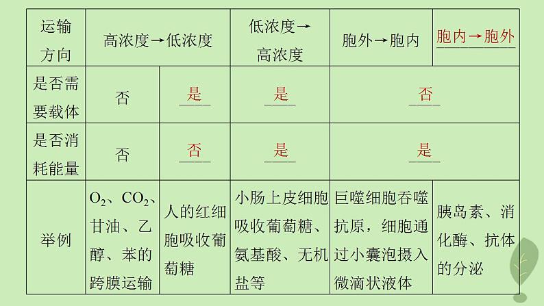 2024届高考生物一轮复习第二单元细胞的结构和生命活动第7课时物质出入细胞的方式及影响因素课件（苏教版）第4页