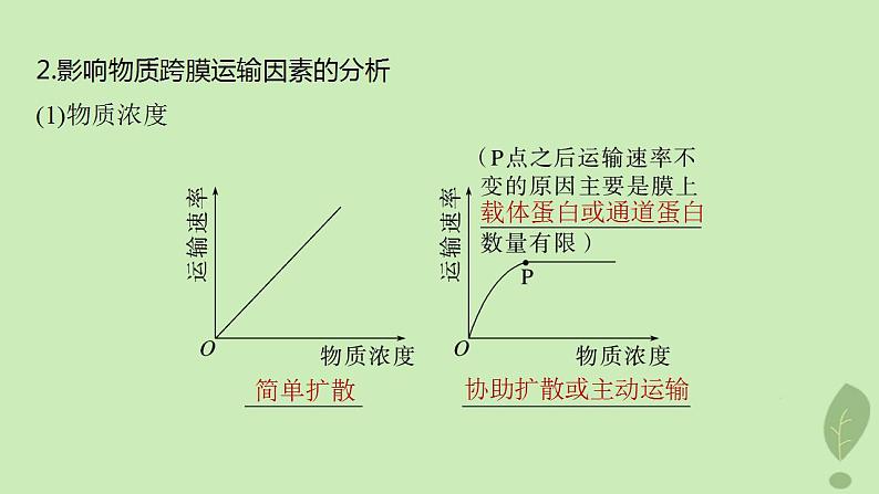 2024届高考生物一轮复习第二单元细胞的结构和生命活动第7课时物质出入细胞的方式及影响因素课件（苏教版）第8页