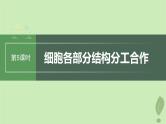 2024届高考生物一轮复习第二单元细胞的结构和生命活动第5课时细胞各部分结构分工合作课件（苏教版）