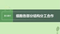 2024届高考生物一轮复习第二单元细胞的结构和生命活动第5课时细胞各部分结构分工合作课件（苏教版）