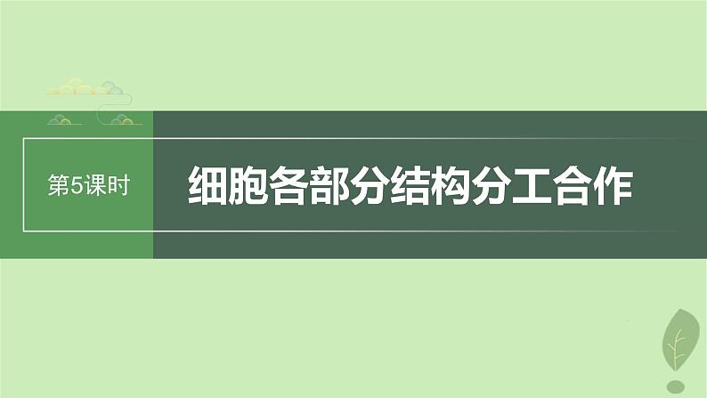 2024届高考生物一轮复习第二单元细胞的结构和生命活动第5课时细胞各部分结构分工合作课件（苏教版）第1页