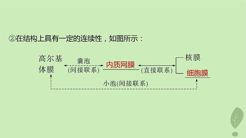 2024届高考生物一轮复习第二单元细胞的结构和生命活动第5课时细胞各部分结构分工合作课件（苏教版）第4页