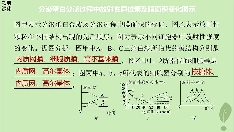 2024届高考生物一轮复习第二单元细胞的结构和生命活动第5课时细胞各部分结构分工合作课件（苏教版）第7页