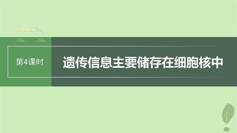 2024届高考生物一轮复习第二单元细胞的结构和生命活动第4课时遗传信息主要储存在细胞核中课件（苏教版）01