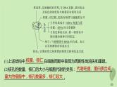2024届高考生物一轮复习第二单元细胞的结构和生命活动第4课时遗传信息主要储存在细胞核中课件（苏教版）